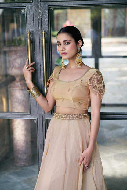 Festive Wear Fendi Thread Embroidered Lehenga Set for Women