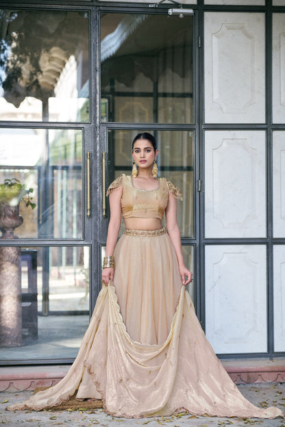 Festive Wear Fendi Thread Embroidered Lehenga Set for Women