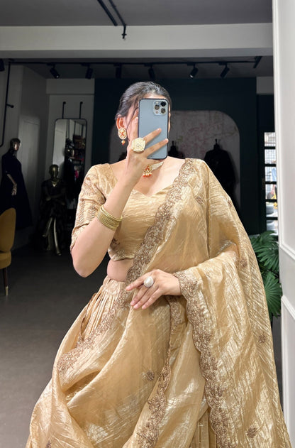 Traditional Indian Ensemble Beautiful Lehenga Choli